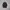 Nike Streetwear Windbreaker Pria black photo 6