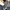 Prada Luxury Flare pants Wanita navy photo 5