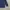 GAP Streetwear Sportswear Parka Pria navy photo 3