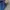 Levi's Casual Jeans Pria navy photo 4