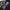 Zoo York Streetwear Skater Hoody Pria black photo 2