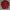 Wacko Maria Casual Casual shirt Pria red black photo 1