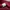 Puma Streetwear Sportswear Track jacket Pria red photo 4