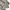 Streetwear Casual Polo shirt Pria multicolor photo 1