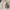 Polo Ralph Lauren Vintage Casual Harrington jacket Pria khaki cream photo 5