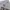 Freaky Massive Vintage Streetwear Hoody Pria gray photo 5