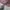 Oakley Streetwear Sportswear Sunglass Wanita silver photo 5