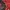 Columbia Gorpcore Windbreaker Pria red photo 4
