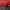 Columbia Gorpcore Windbreaker Pria red photo 3