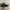Adidas Sportswear Boots Pria white black photo 1
