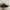 Adidas Sportswear Boots Pria White Black