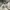 Avirex Casual Sweater Pria gray photo 3