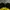 Supreme Casual Sweater Pria black yellow photo 2