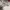 Nike Sportswear Sneakers Pria gray photo 2