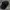 Calvin Klein Goth Avant Garde Hat Pria black gray photo 1