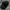 Calvin Klein Goth Avant Garde Hat Pria Black Gray