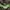 Japanese brand Streetwear Gorpcore Windbreaker Pria green black photo 2