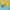 NEPA Casual Windbreaker Pria blue yellow photo 2