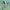 NEPA Casual Windbreaker Pria blue yellow photo 5