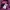 Issey Miyake Avant Garde Windbreaker Pria purple photo 5