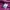 Issey Miyake Avant Garde Windbreaker Pria purple photo 4
