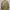 Gostar De Fuga Avant Garde Casual shirt Pria green photo 3