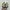 Nike Sportswear Casual Sneakers Pria gray photo 4