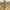 Stussy Streetwear Avant Garde Casual pants Pria tan khaki photo 4