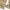 Stussy Streetwear Avant Garde Casual pants Pria tan khaki photo 8