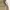 Stussy Streetwear Avant Garde Casual pants Pria tan khaki photo 3