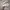 VANS Casual Sneakers Pria white photo 1