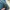 Nankai Vintage Biker Windbreaker Pria blue photo 8