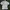 Polo Ralph Lauren Casual Polo shirt Pria gray photo 2