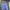 Dickies Streetwear Reworked Pria blue photo 2