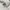 Polo Ralph Lauren Casual Sweatshirt Pria white photo 3