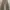 Indie Casual Wide leg jeans Wanita tan brown photo 1