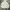Carhartt Vintage Hoody Pria gray photo 1