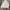 Carhartt Vintage Hoody Pria gray photo 2