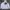 Nike Sportswear Windbreaker Pria White Black