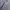 Nike Sportswear Windbreaker Pria white black photo 2