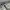 New Balance Streetwear Casual Sneakers Pria White
