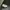Timberland Gorpcore Bag Pria green gray photo 3