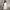 Indie Casual Jumpsuit Wanita white photo 1