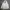 Rodeo Crowns Y2K Puffer Jacket Pria White