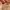 Louis Vuitton Vintage Coquette Tote bag Wanita tan brown photo 6