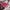 Coach Vintage Y2K Shoulder bag Wanita tan pink photo 4