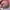 Coach Vintage Y2K Shoulder bag Wanita tan pink photo 1