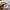 Burberry Luxury Casual T-shirt Wanita multicolor photo 6