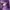 Streetwear Sportswear Windbreaker Pria purple black photo 6