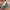 Louis Vuitton Y2K Minimalist Bucket bag Wanita blue photo 2